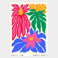 Bromeliads Gift Wrap | Liv Lee